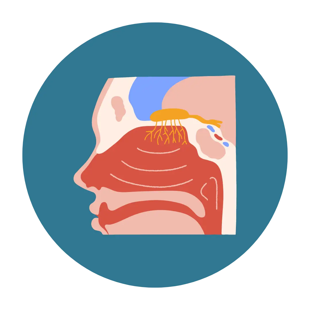 ENT surgery Cuttack