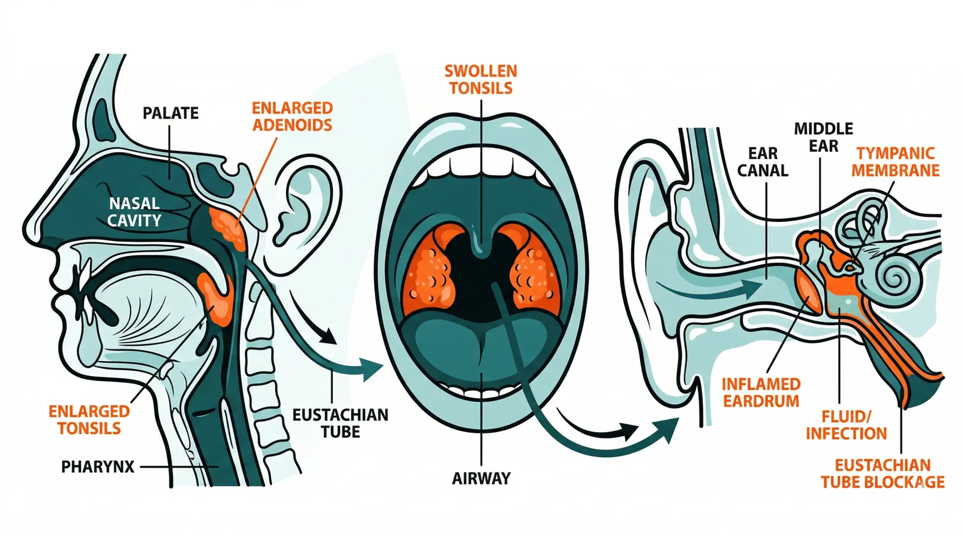 paediatric ENT specialist child ENT doctor ENT for children pediatric ENT surgery